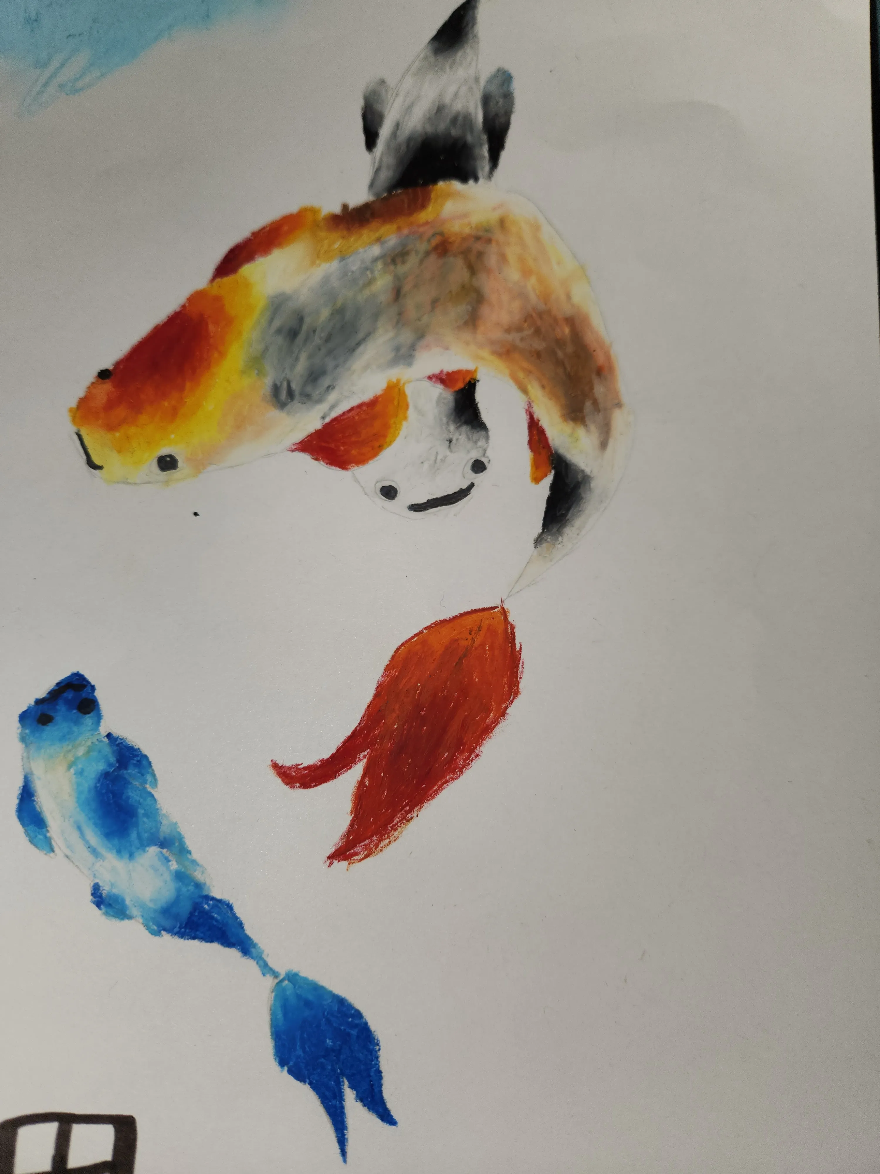Koi